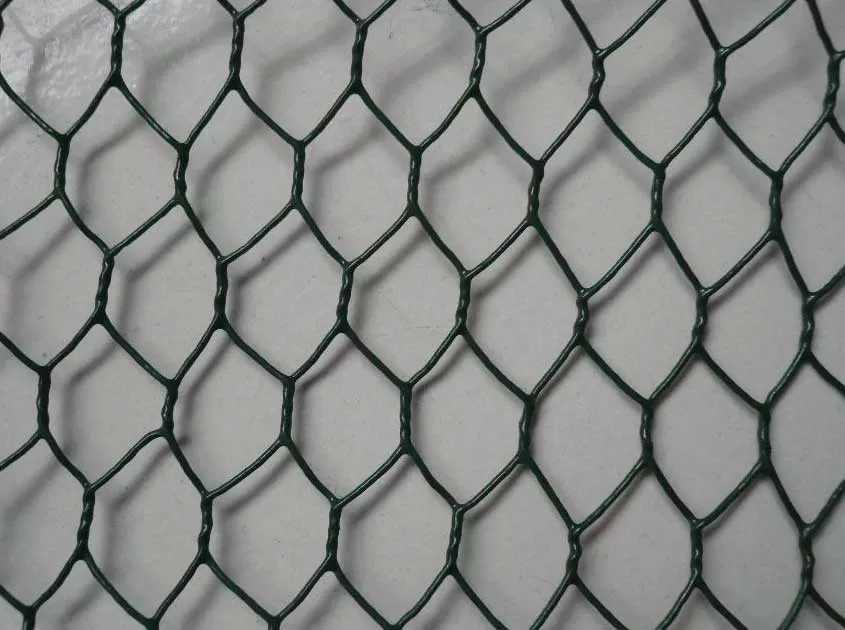 What Mesh Size Is Suitable for Chicken Wire Mesh? A Practical Selection Guide
