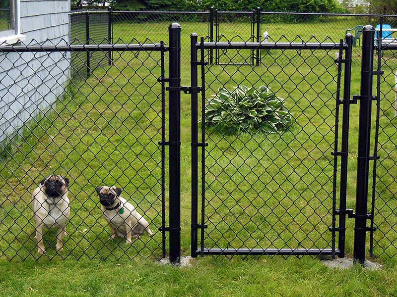 Chain Link Wire Mesh Opening Size Guide: How to Select the Right Mesh Chain Link Wire Mesh Opening Size Guide: How to Select the Right Mesh