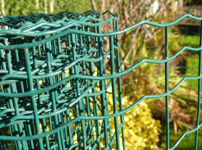 PVC Coated Welded Holland Fence/ Euro Fence/Wire Mesh Fence - China Holland  Wire Mesh, Wavy Holland Wire Netting