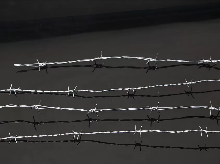 Barbed Wire