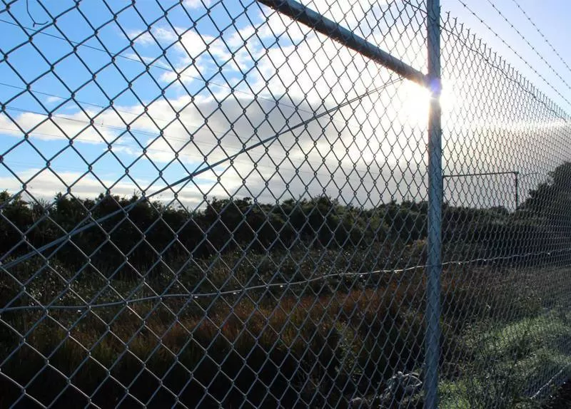 Chain Link Fence