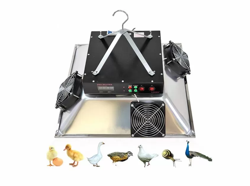 Brooder heater