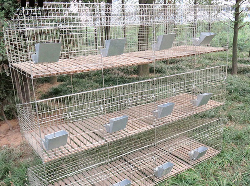 commercial rabbit cages