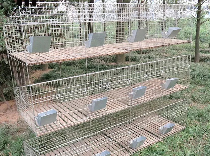 Rabbit Cages