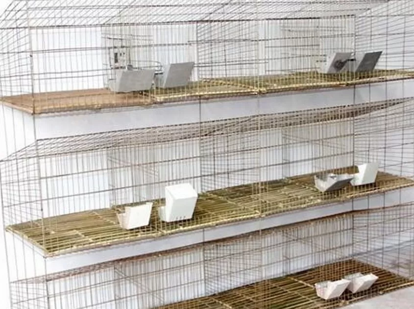 Rabbit Cages