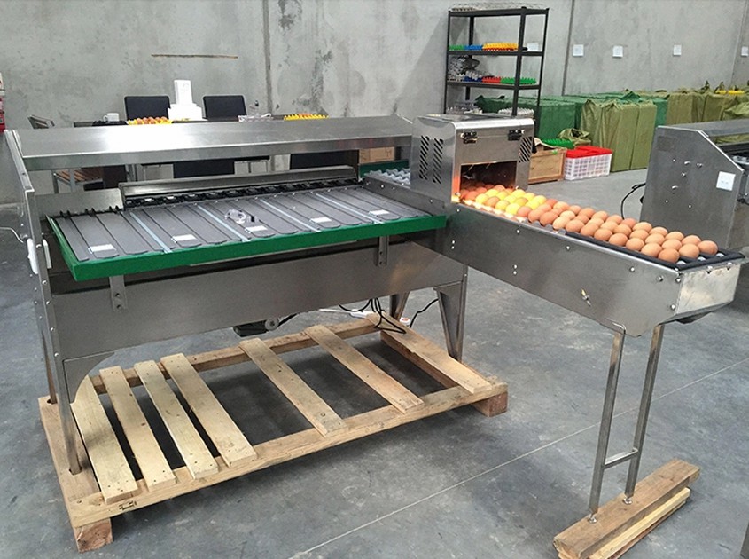 Egg Grading Machine for Sale Prices