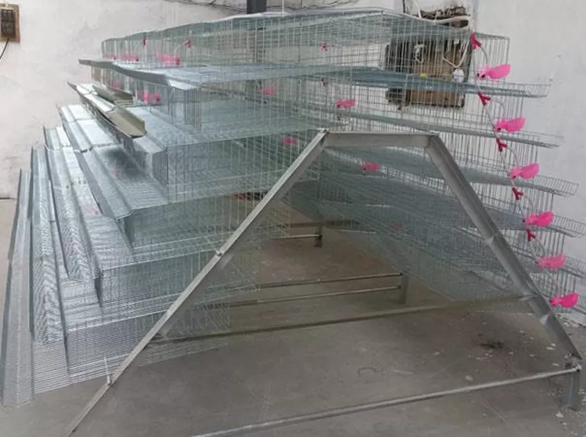 Quail Cages