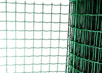 What is the Dutch wire mesh