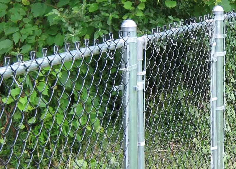 Galvanized Chain Link Fence