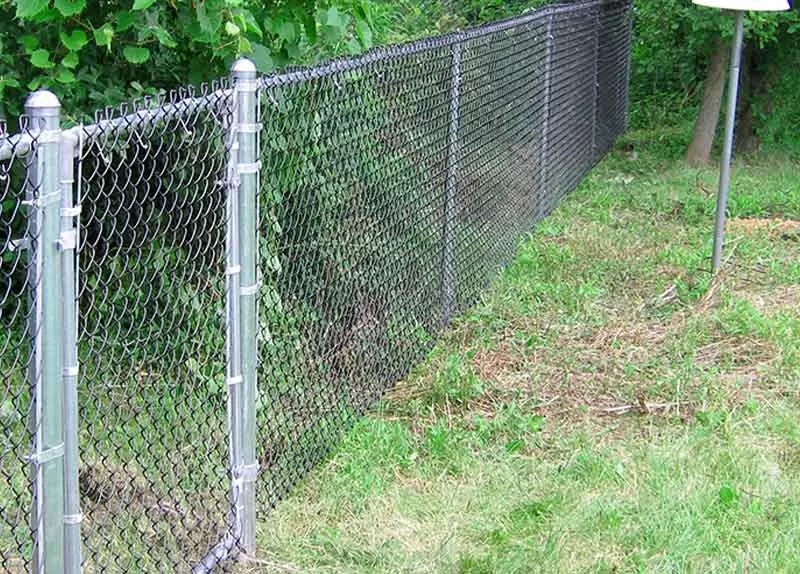 Galvanized Chain Link Fence