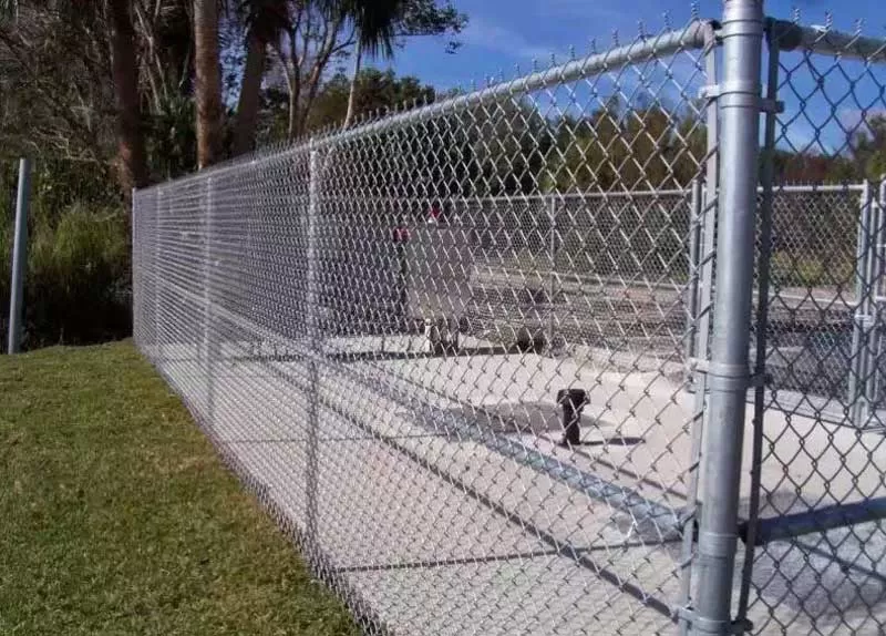 Galvanized Chain Link Fence