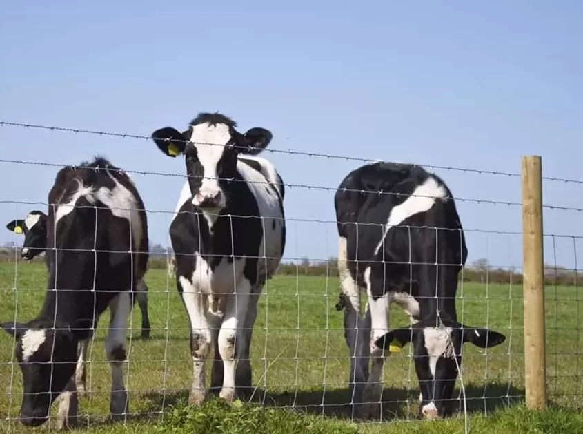 Farm Fencing Buying Guide