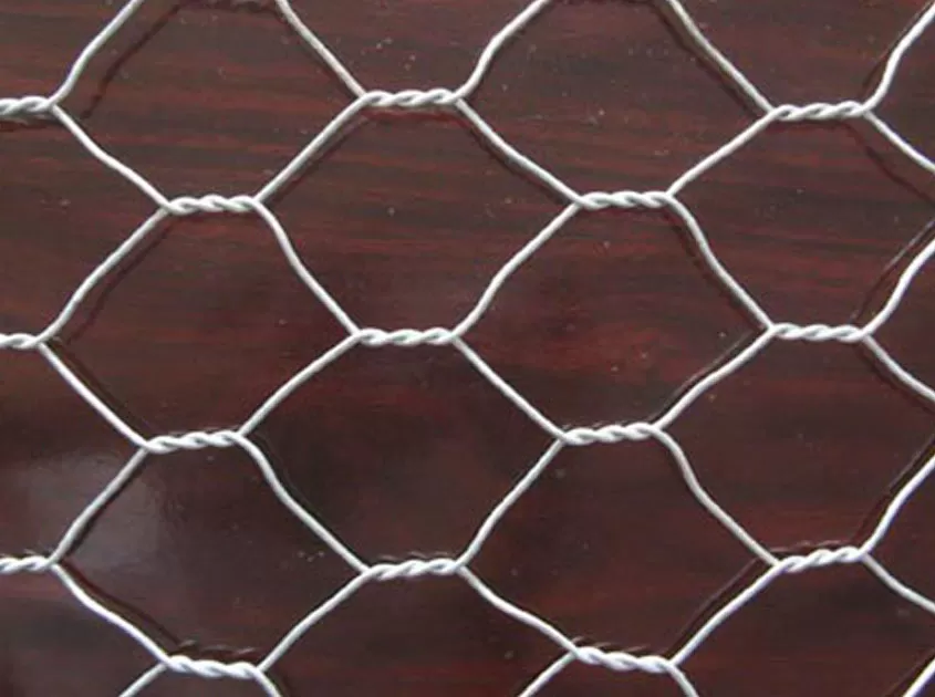 Hot-Dipped Galvanized Wire Mesh