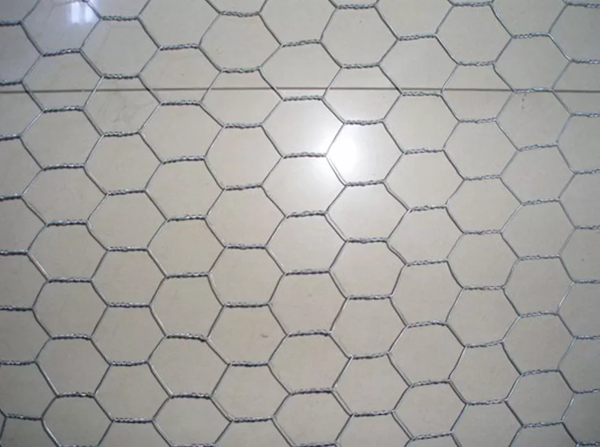 Hot-Dipped Galvanized Wire Mesh
