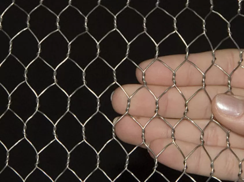 Hot-Dipped Galvanized Wire Mesh