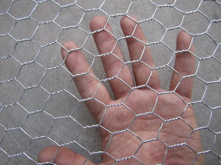 Hot-Dipped Galvanized Wire Mesh